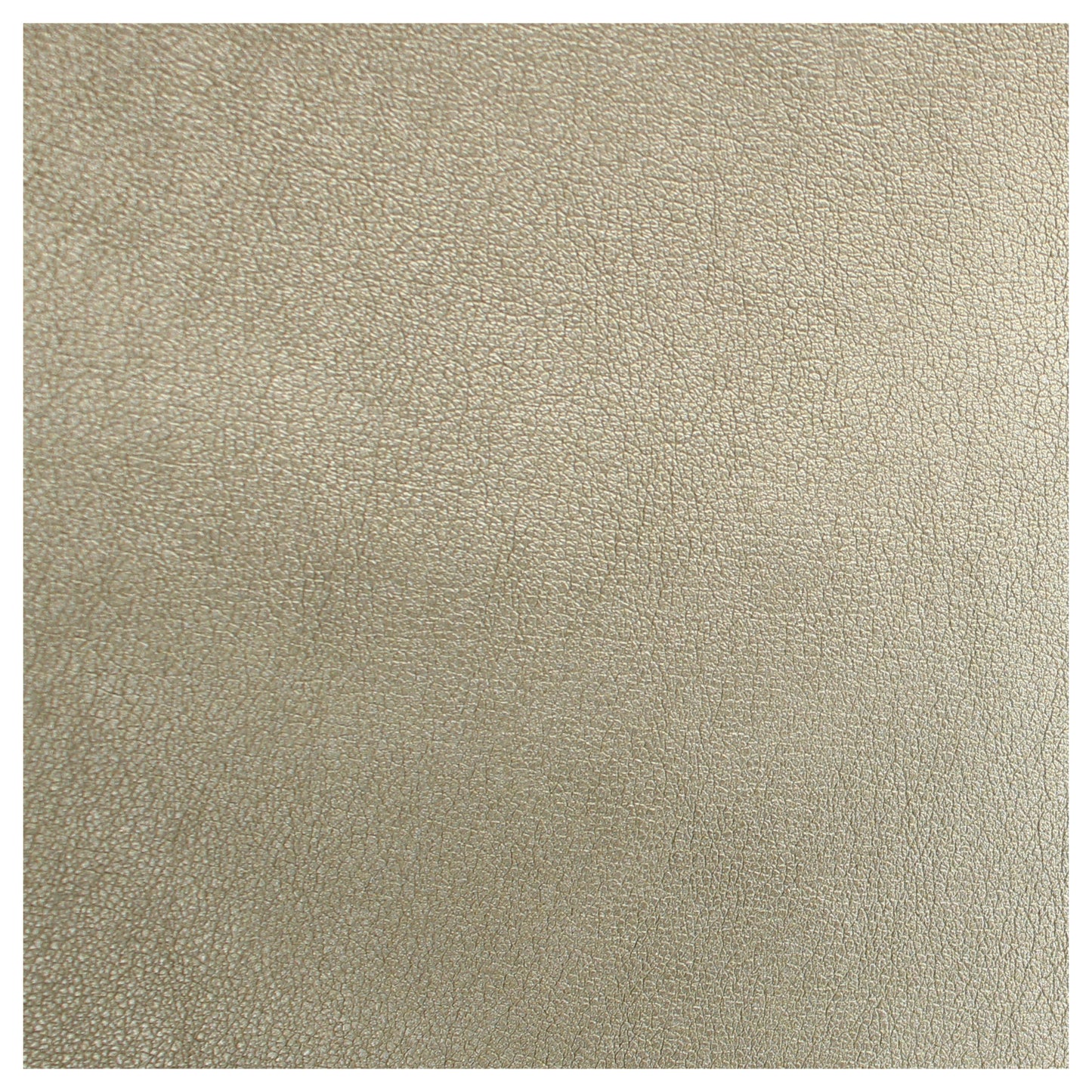 Copristrappo Ecopelle