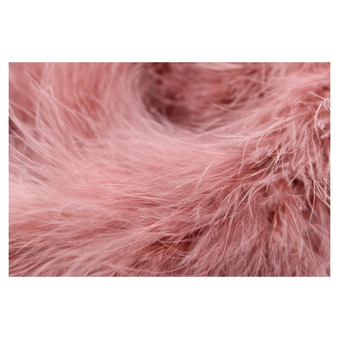 Marabou