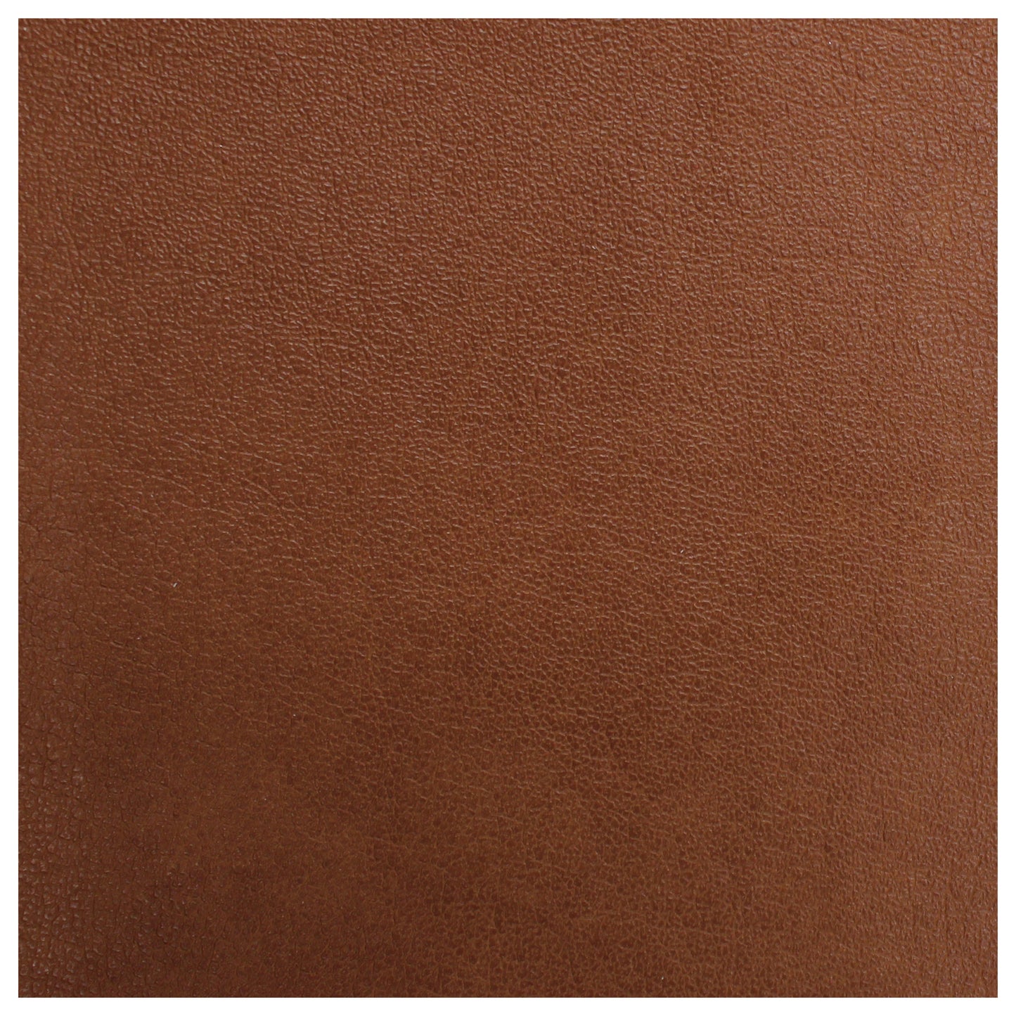 Copristrappo Ecopelle