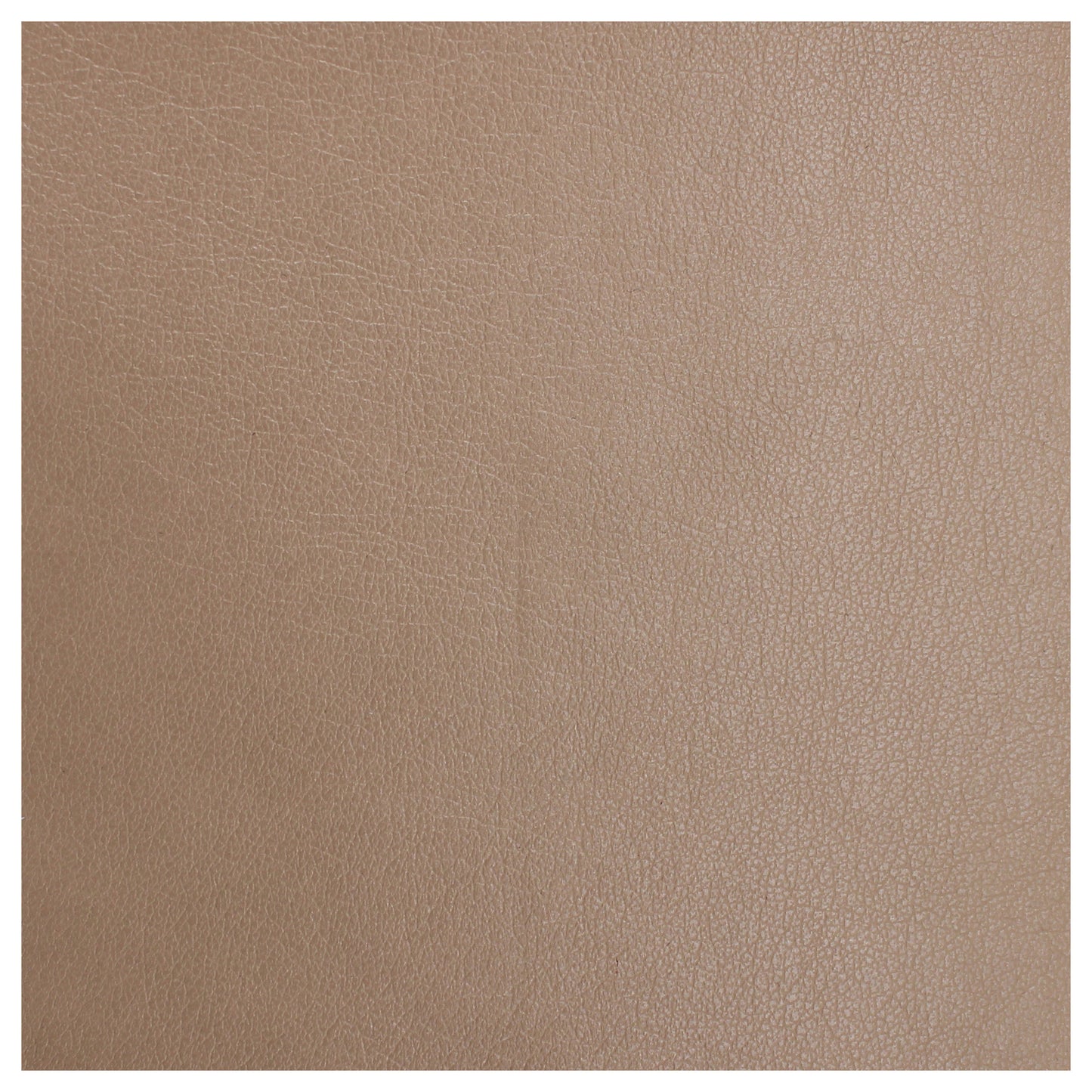 Copristrappo Ecopelle