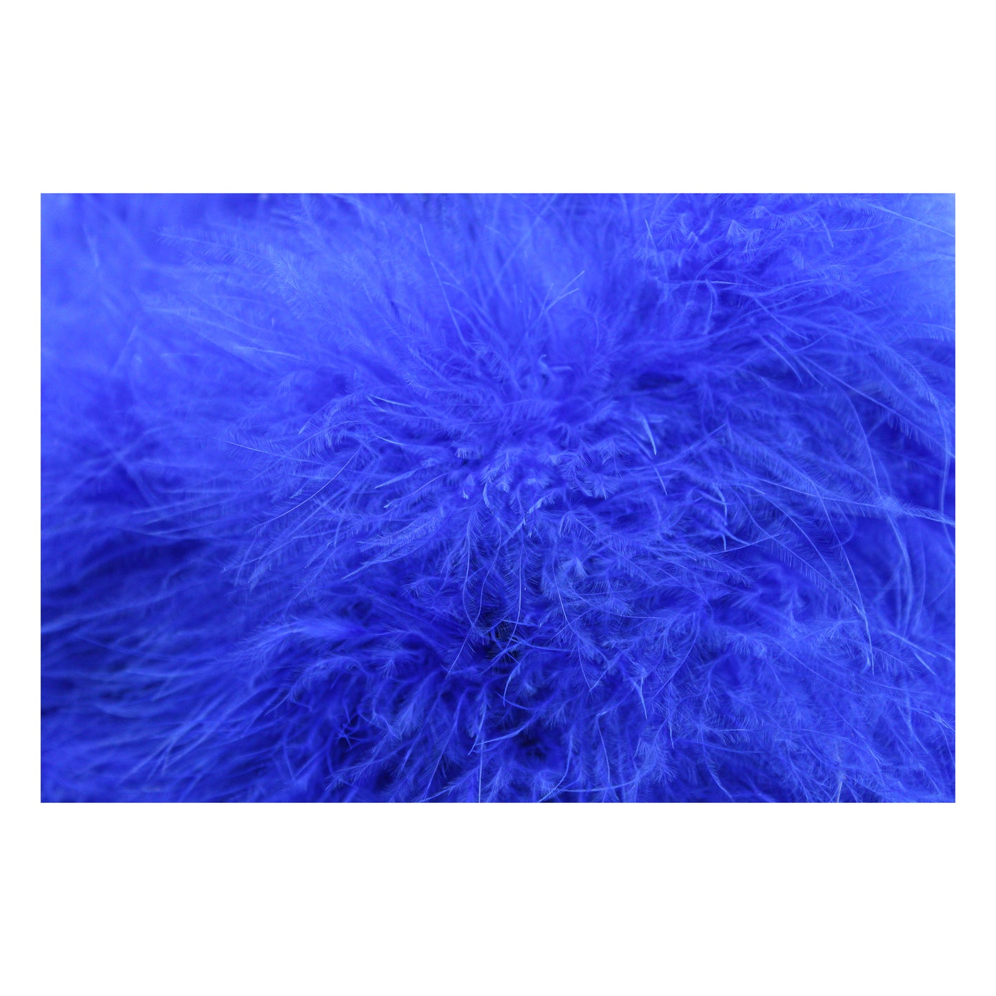 Marabou