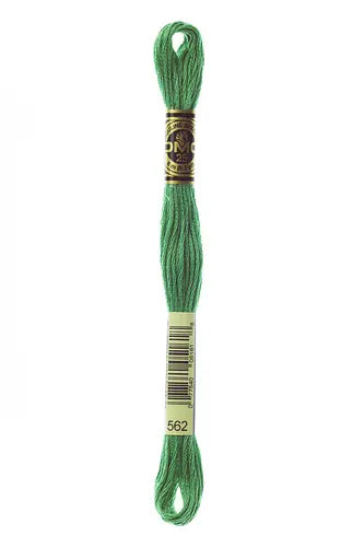 Moulinè DMC Verde-Verde chiaro