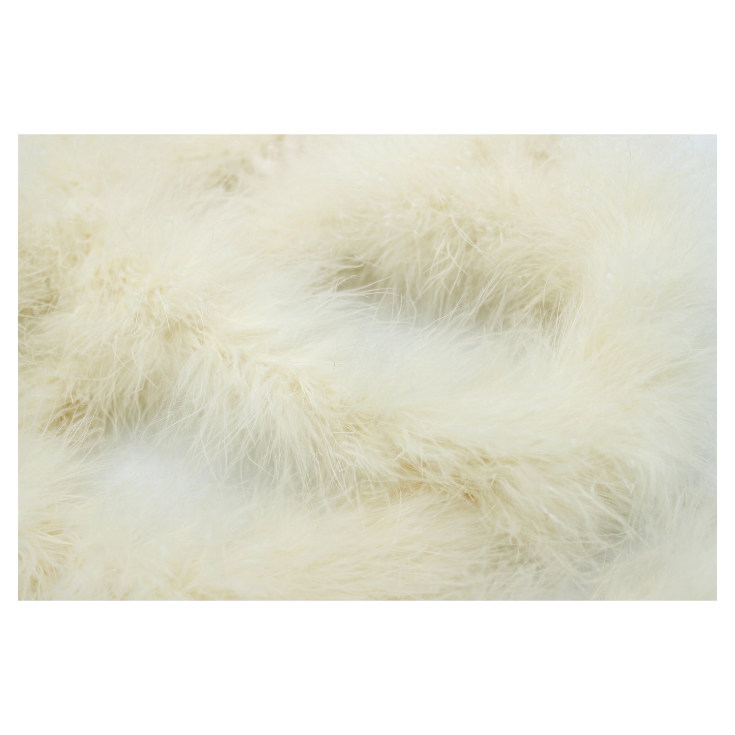 Marabou