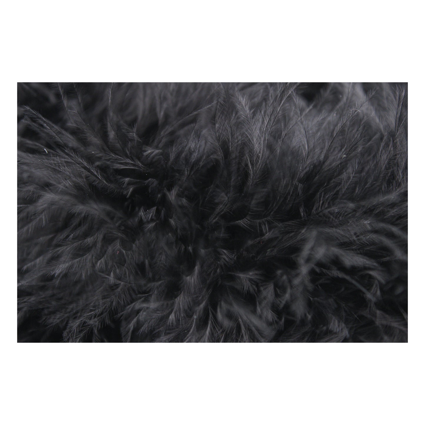 Marabou